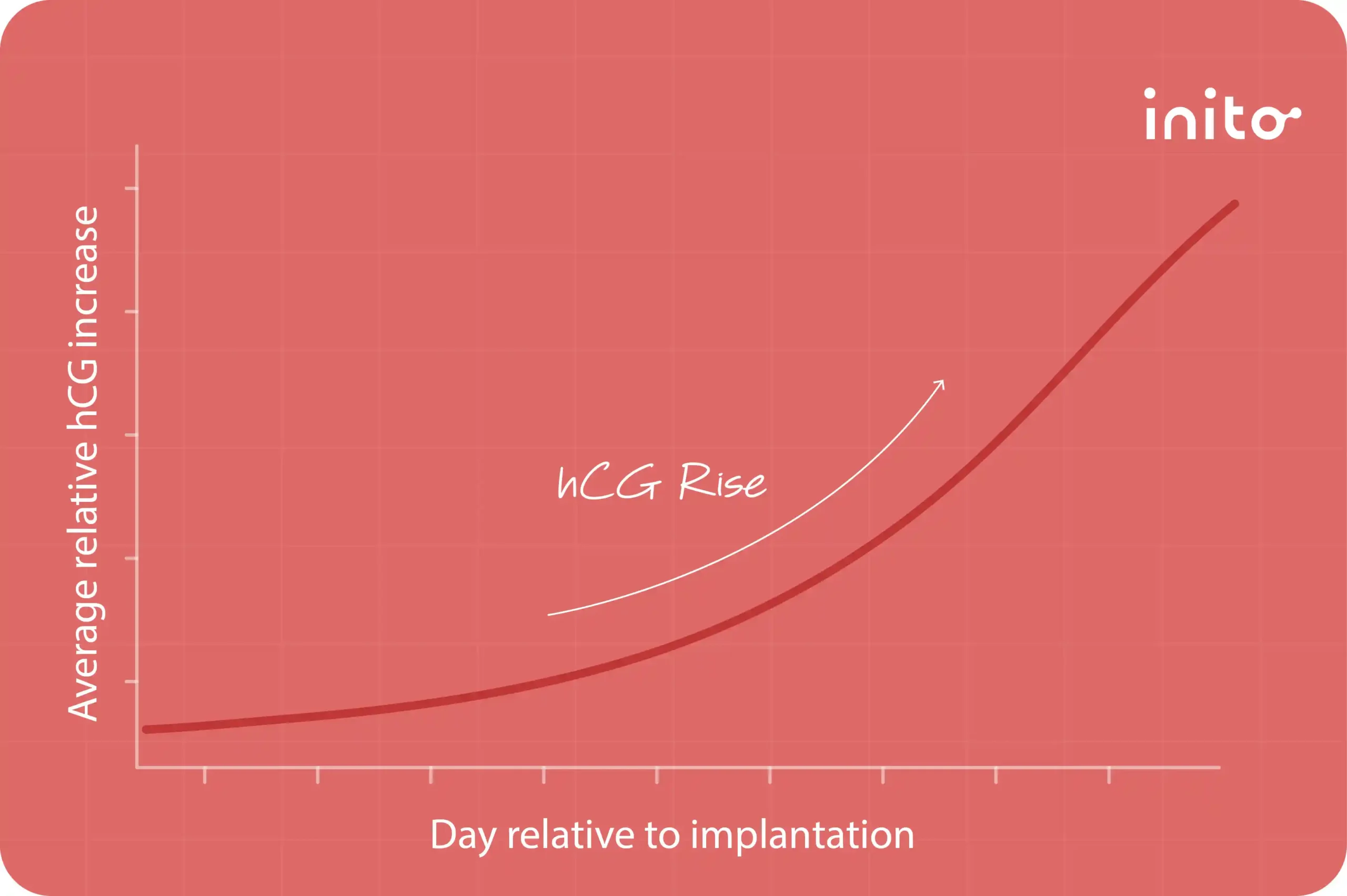 How Long After Implantation Does hCG Rise