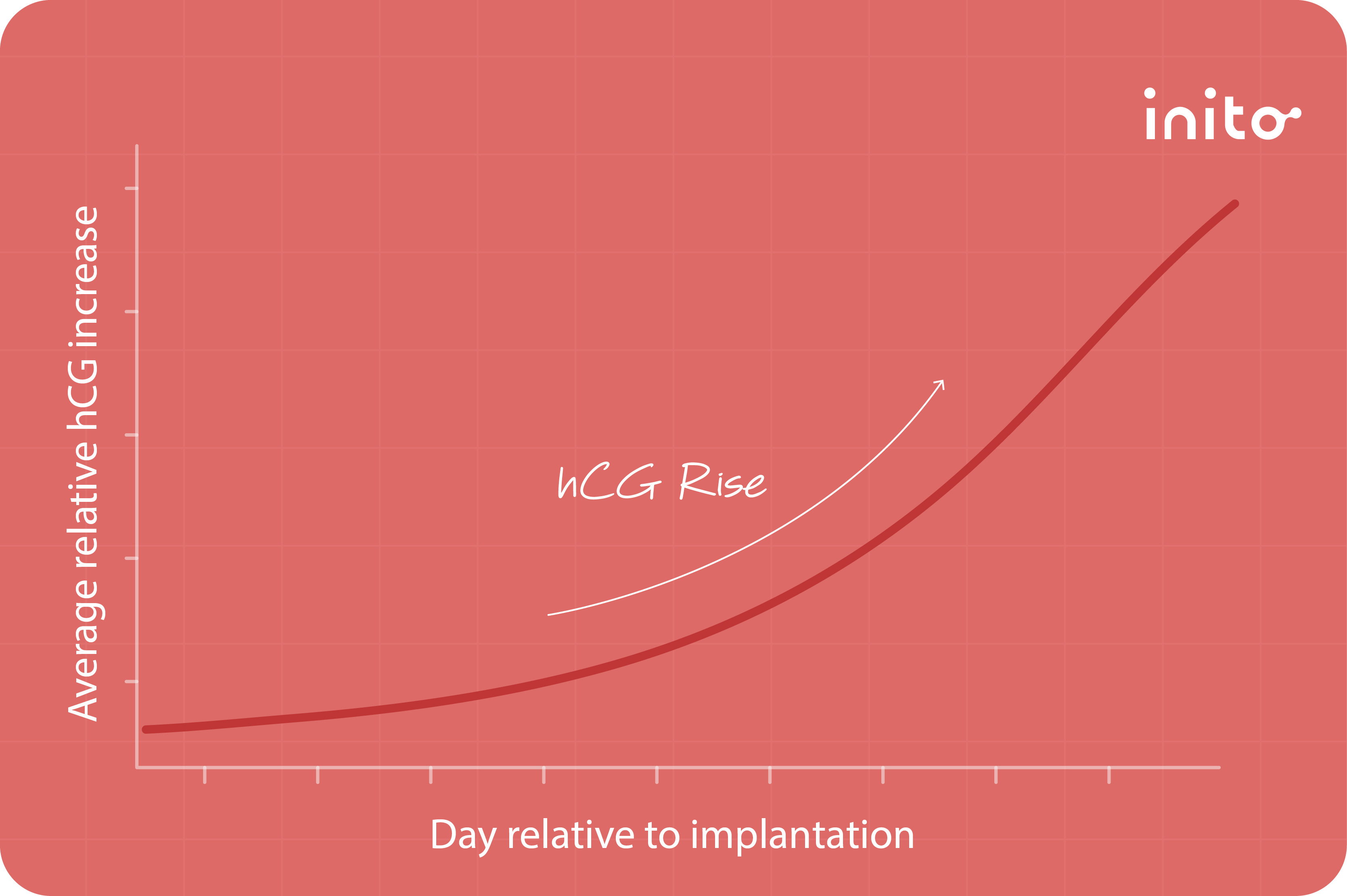 How Long After Implantation Does hCG Rise?