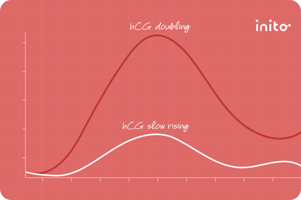 pregnant-but-hcg-rising-slowly-what-to-know-inito