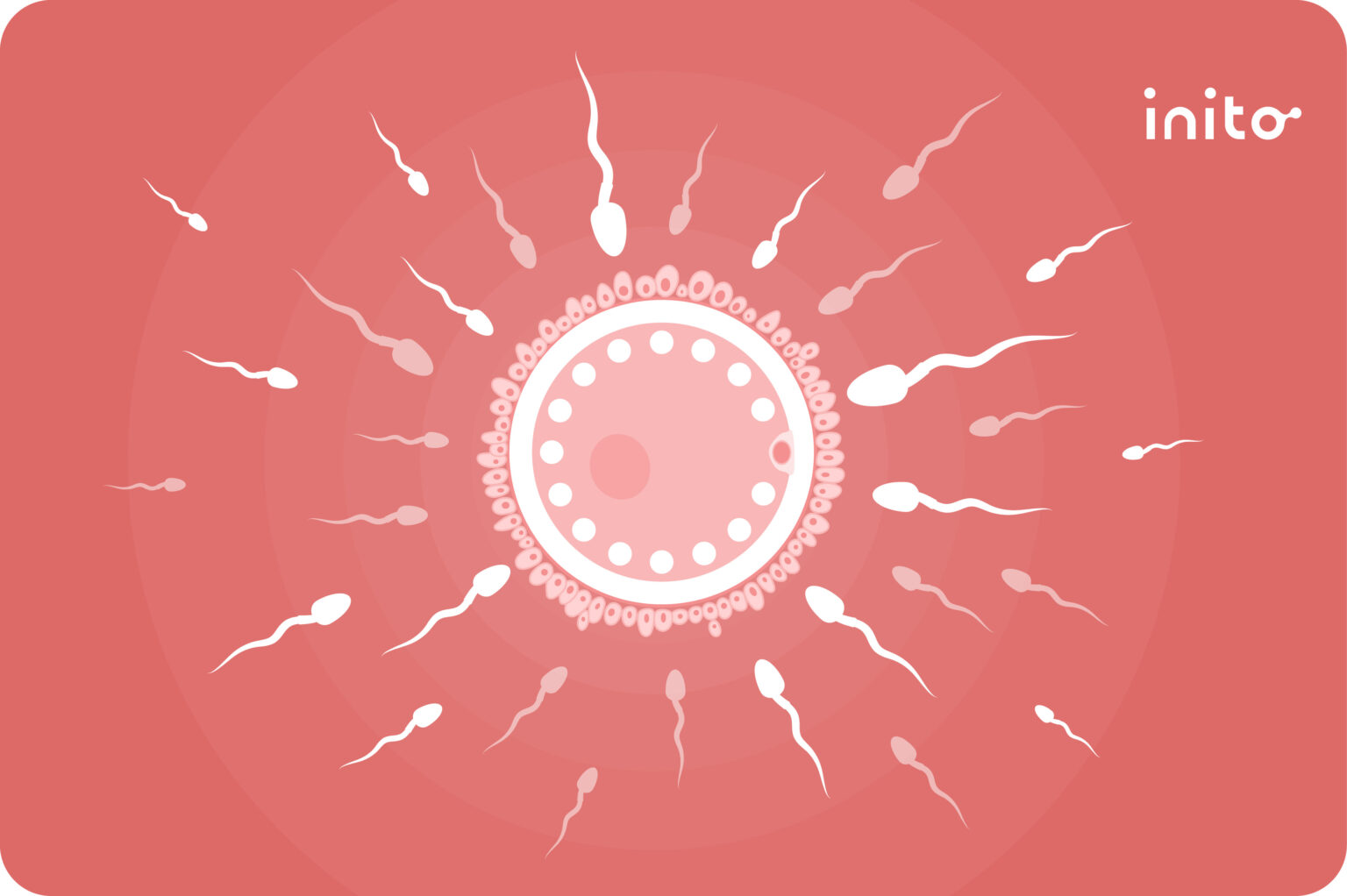 Can you get pregnant from precum 