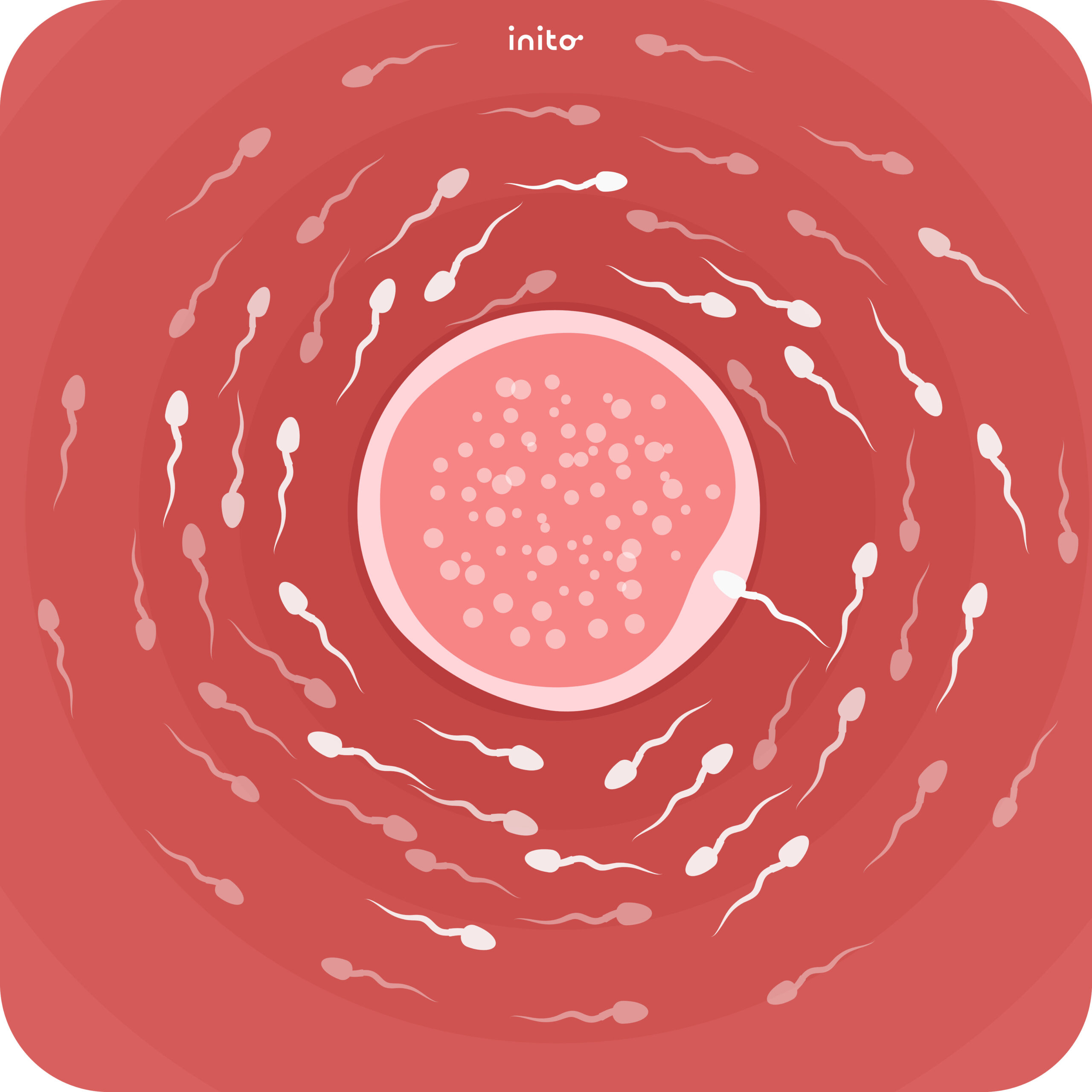 Only about 200 out of million sperms reach the egg