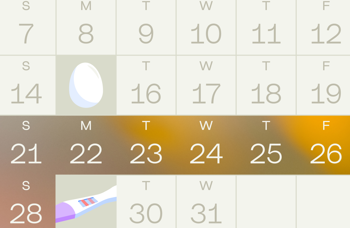 29 When to take pregnancy test after implantation