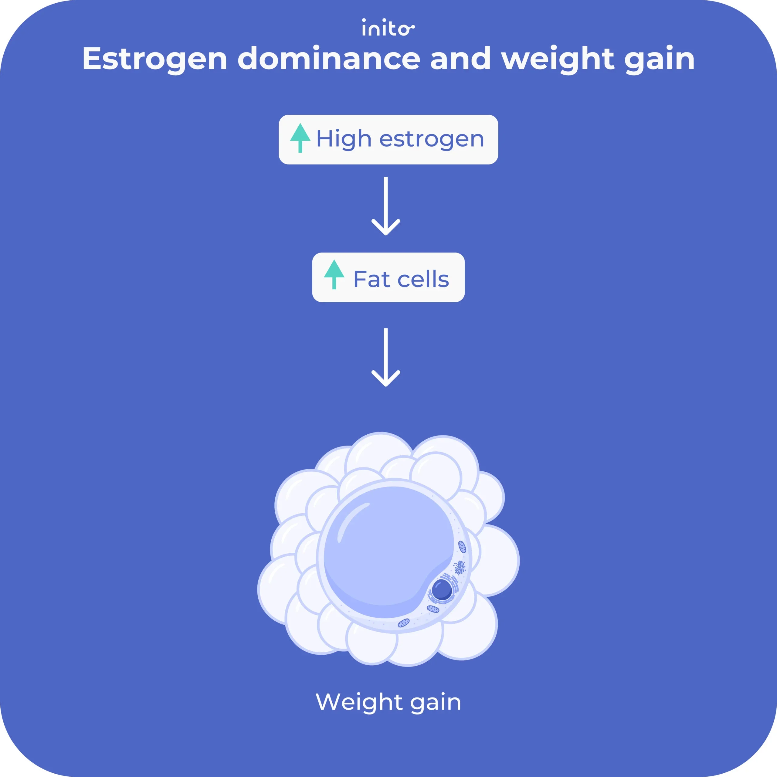 Estrogen dominance