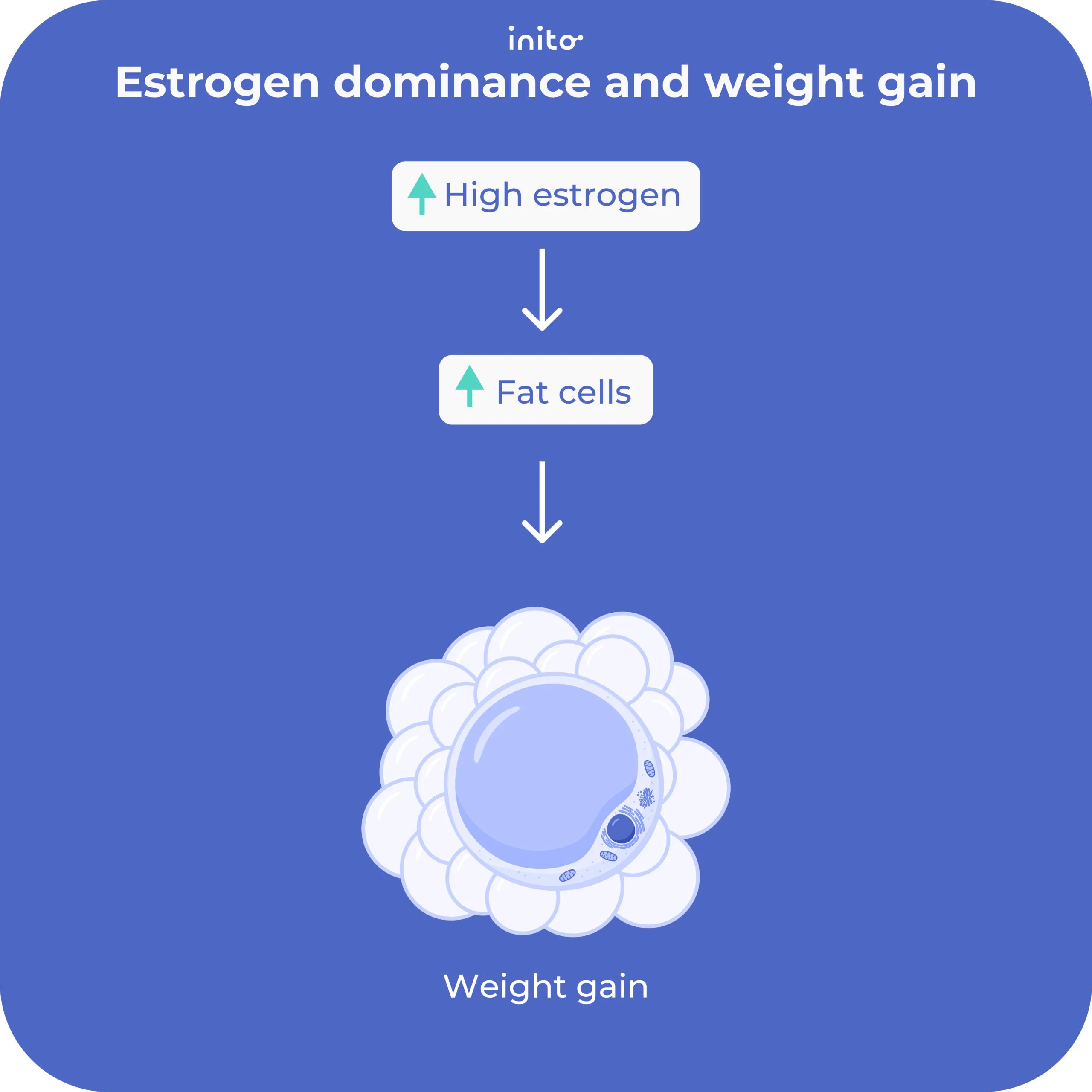 Estrogen dominance