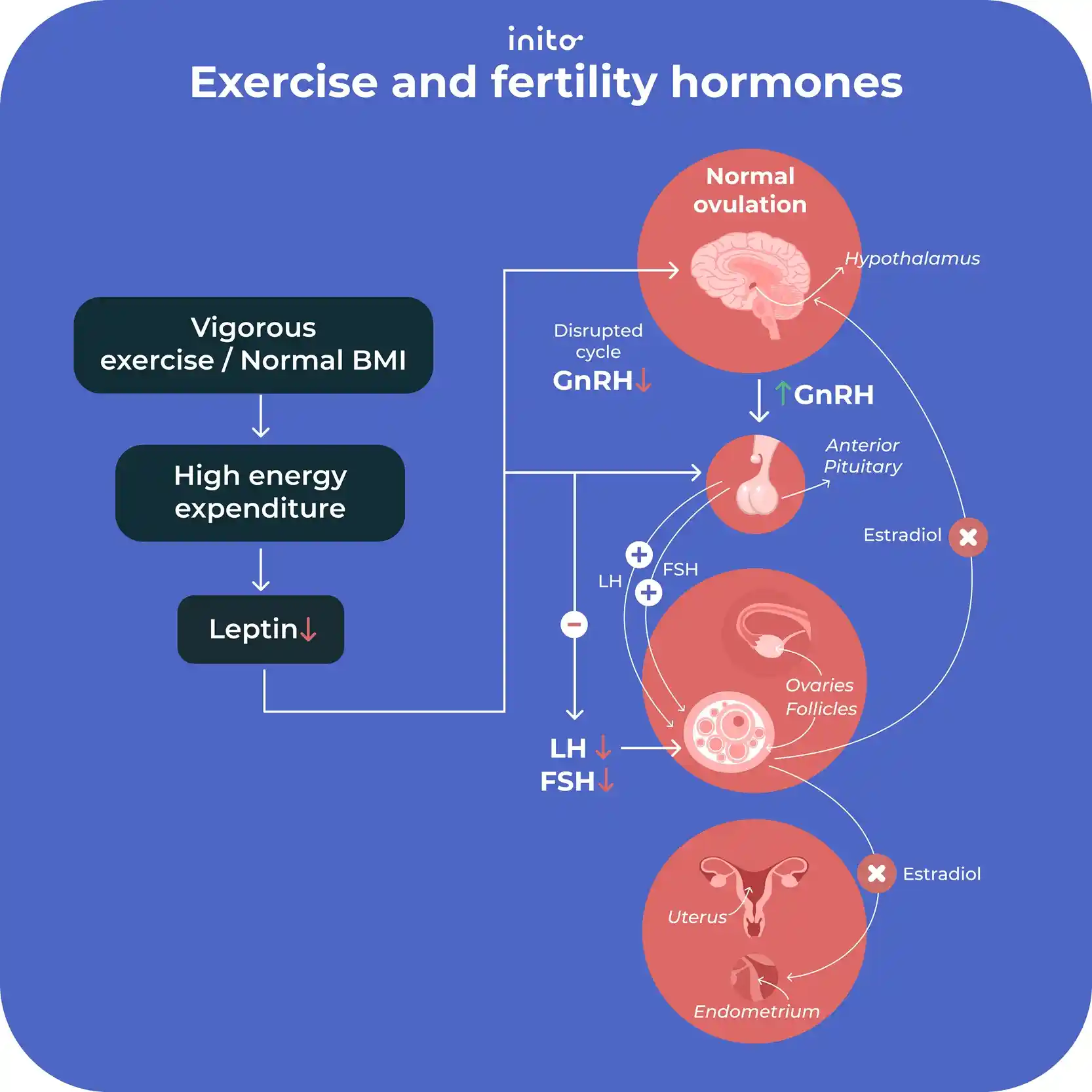 Excessive and fertility hormones