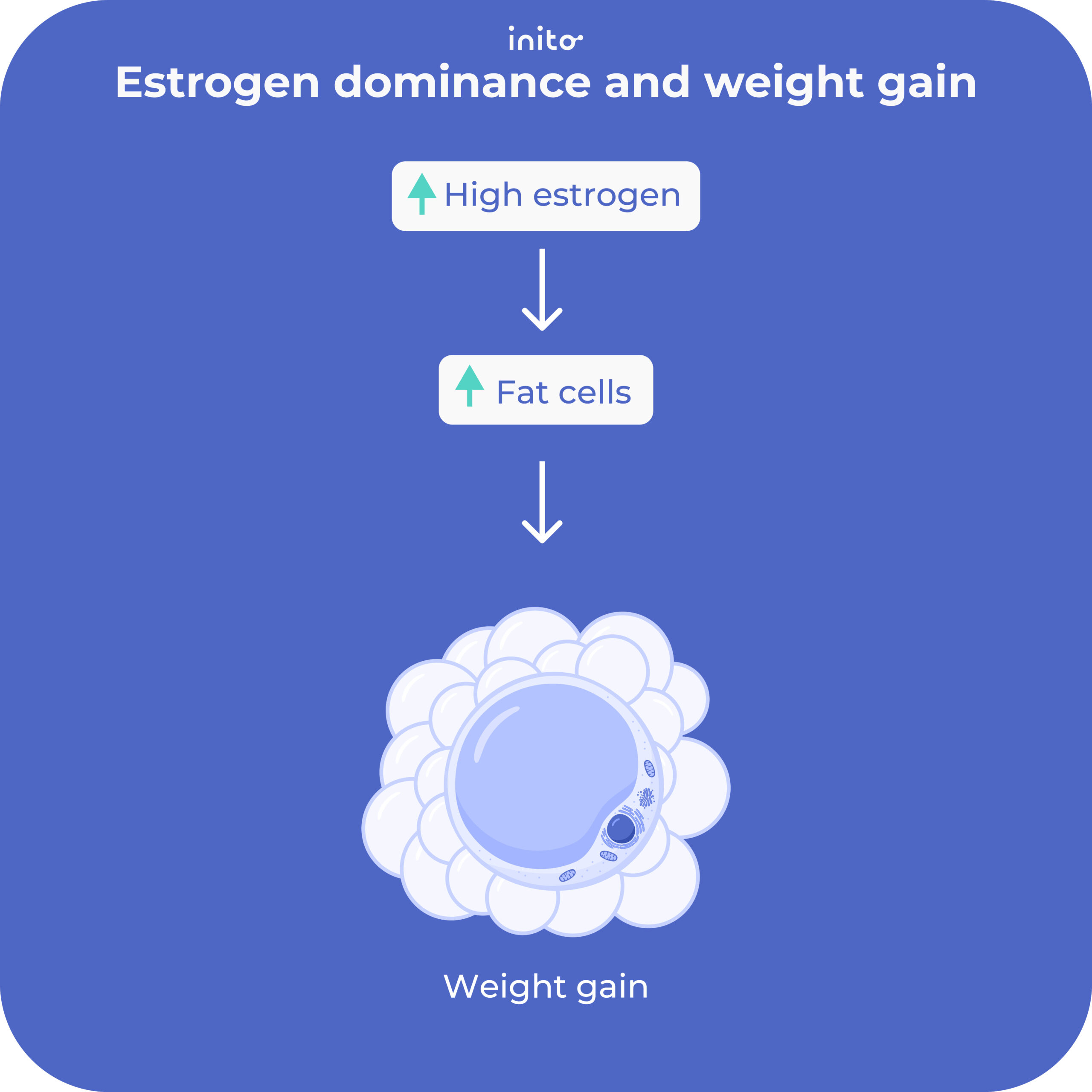 Estrogen dominance