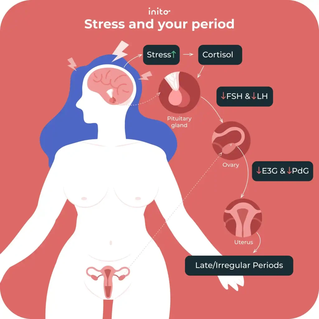 Stress and its impact on period