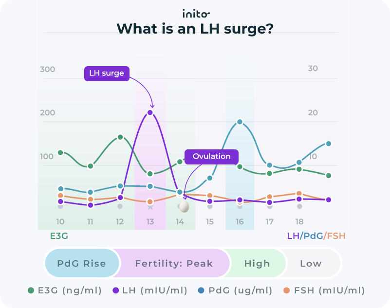 Lh Surge