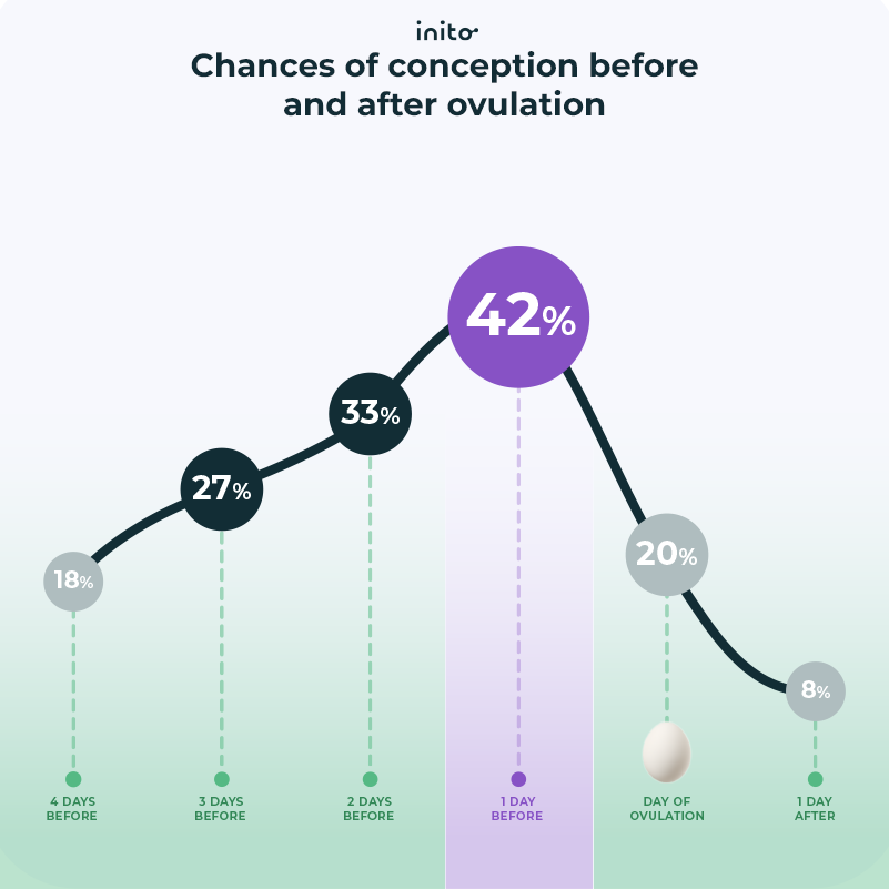 chance of conception before and after ovulation