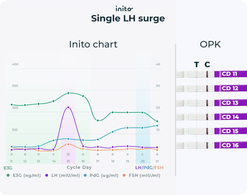 Short LH surge