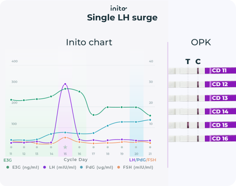 When to Have Sex After LH Surge: Your Complete Guide - Inito