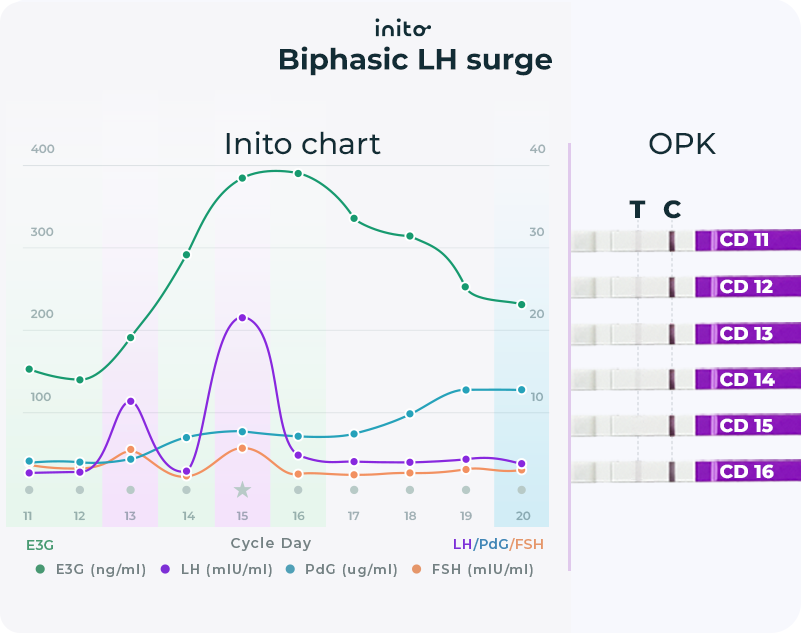 Short LH surge