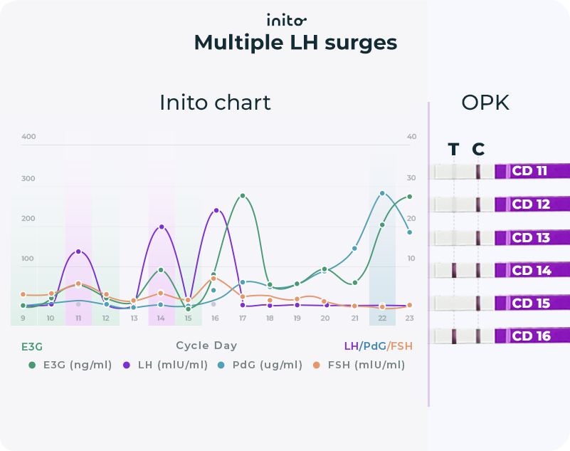 Short LH surge