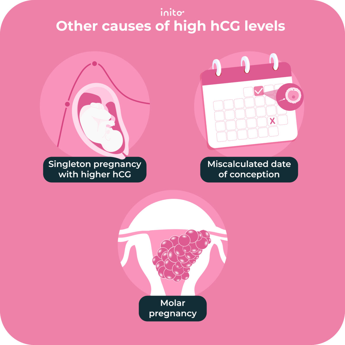 How to Know If It’s Twins Based on hCG Levels - Inito