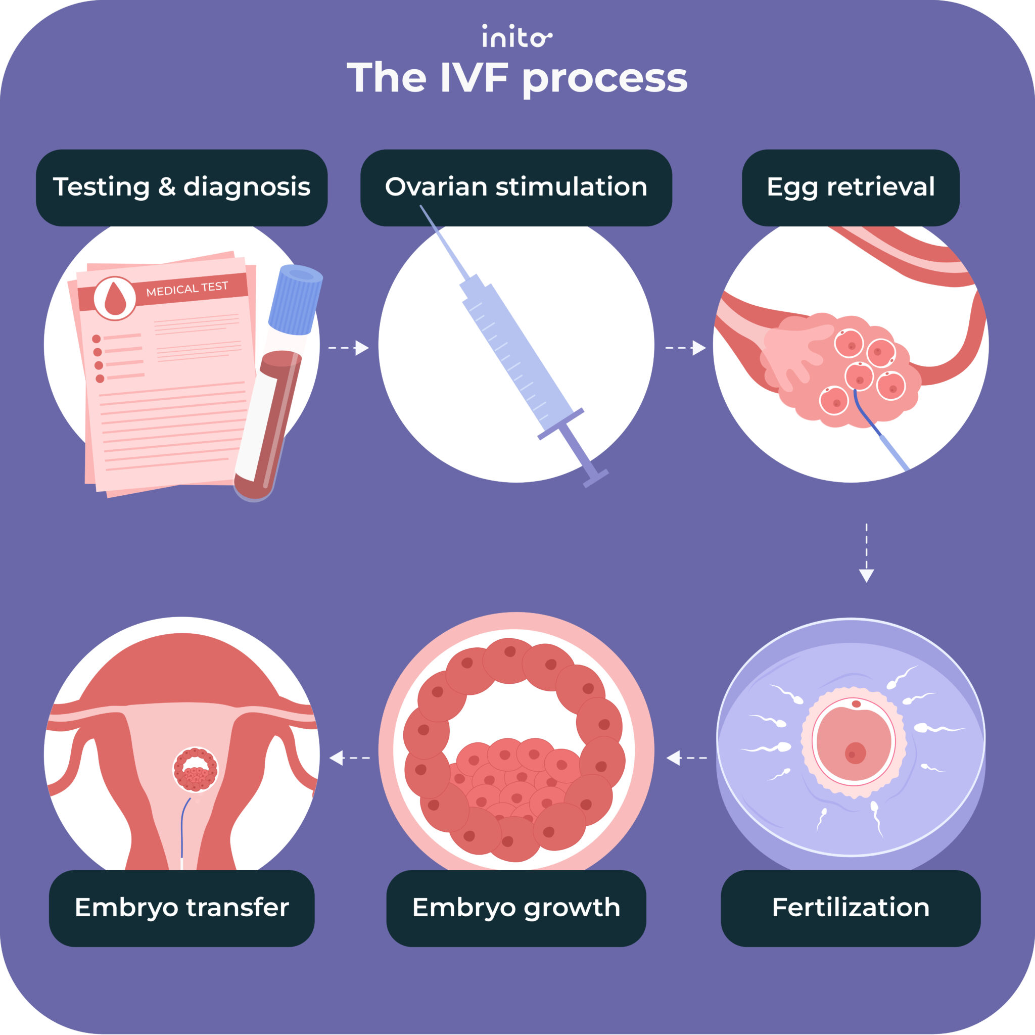 IVF Process Your Step by Step Guide From Start To Finish Inito IVF Process Your Step by Step Guide From Start To Finish Inito