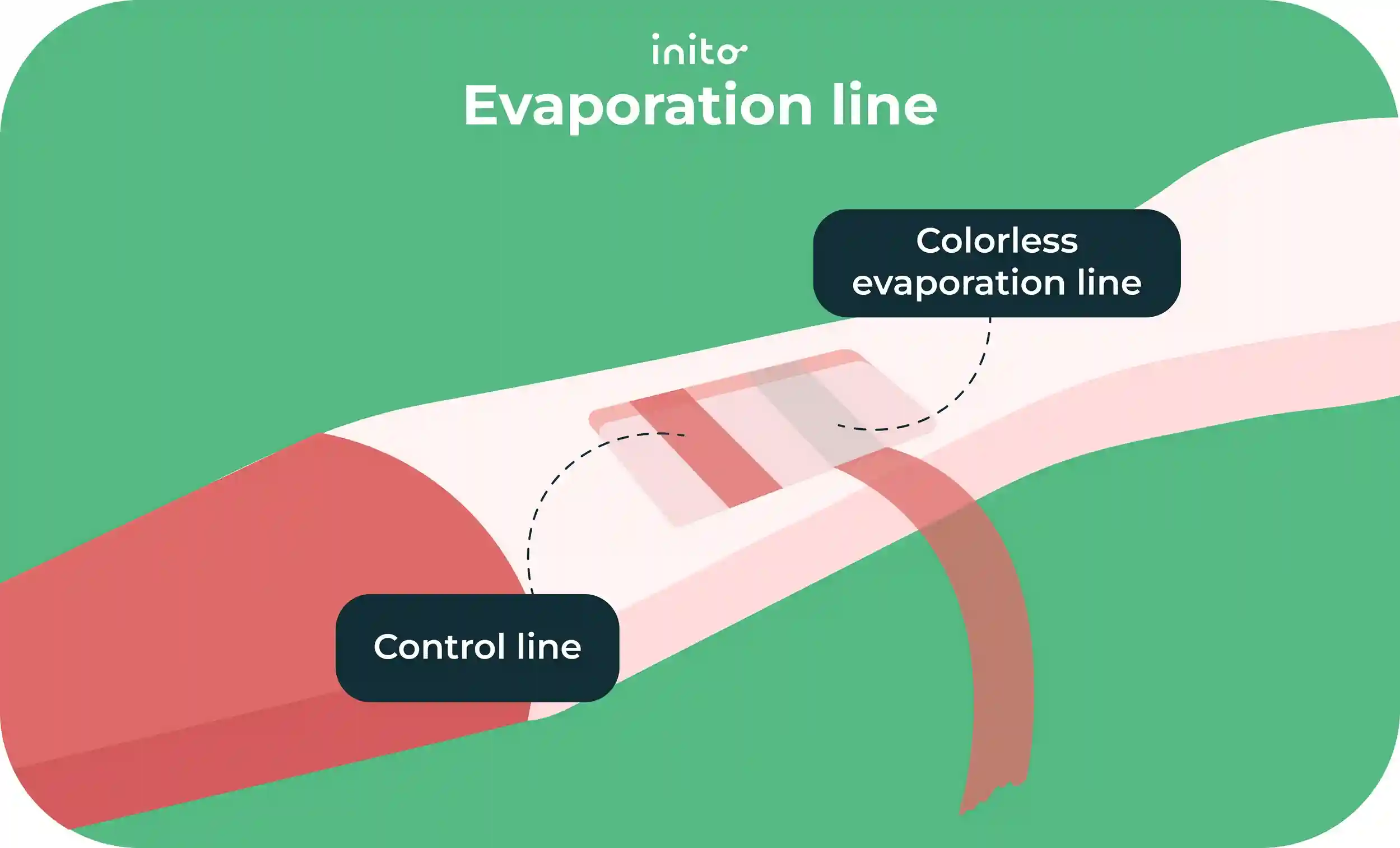 Evaporation line pregnancy test