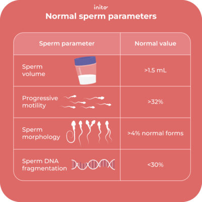 How Much Sperm Does it Take to Get Pregnant? - Inito