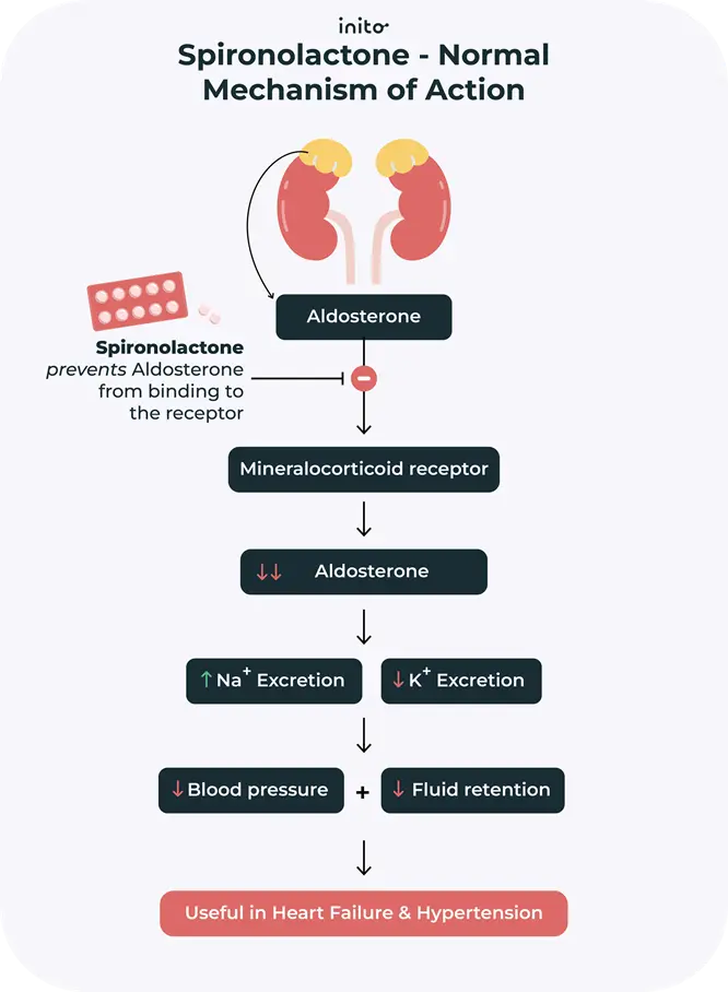 how does spironolactone work