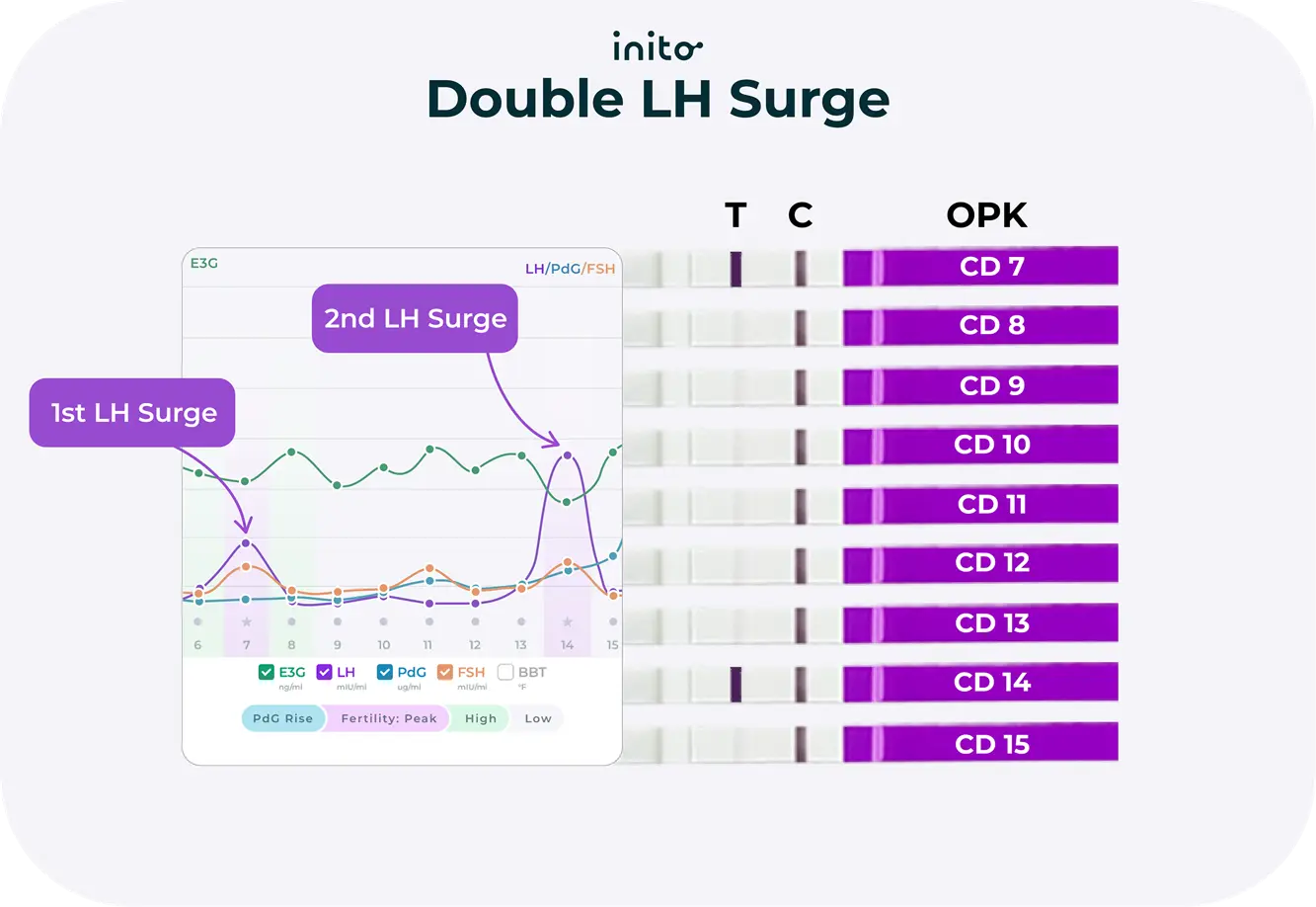 Double LH Surge