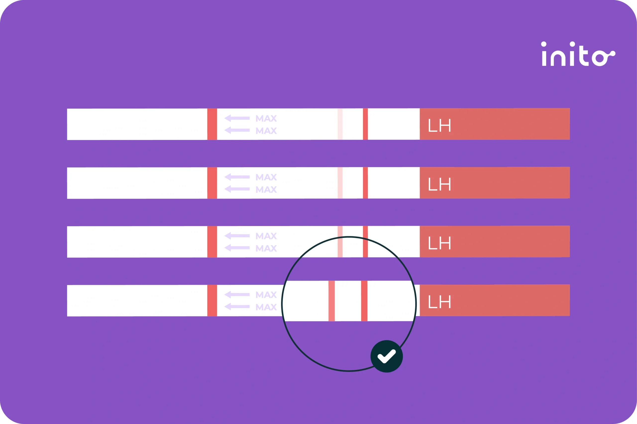 Ovulation Testing Progression