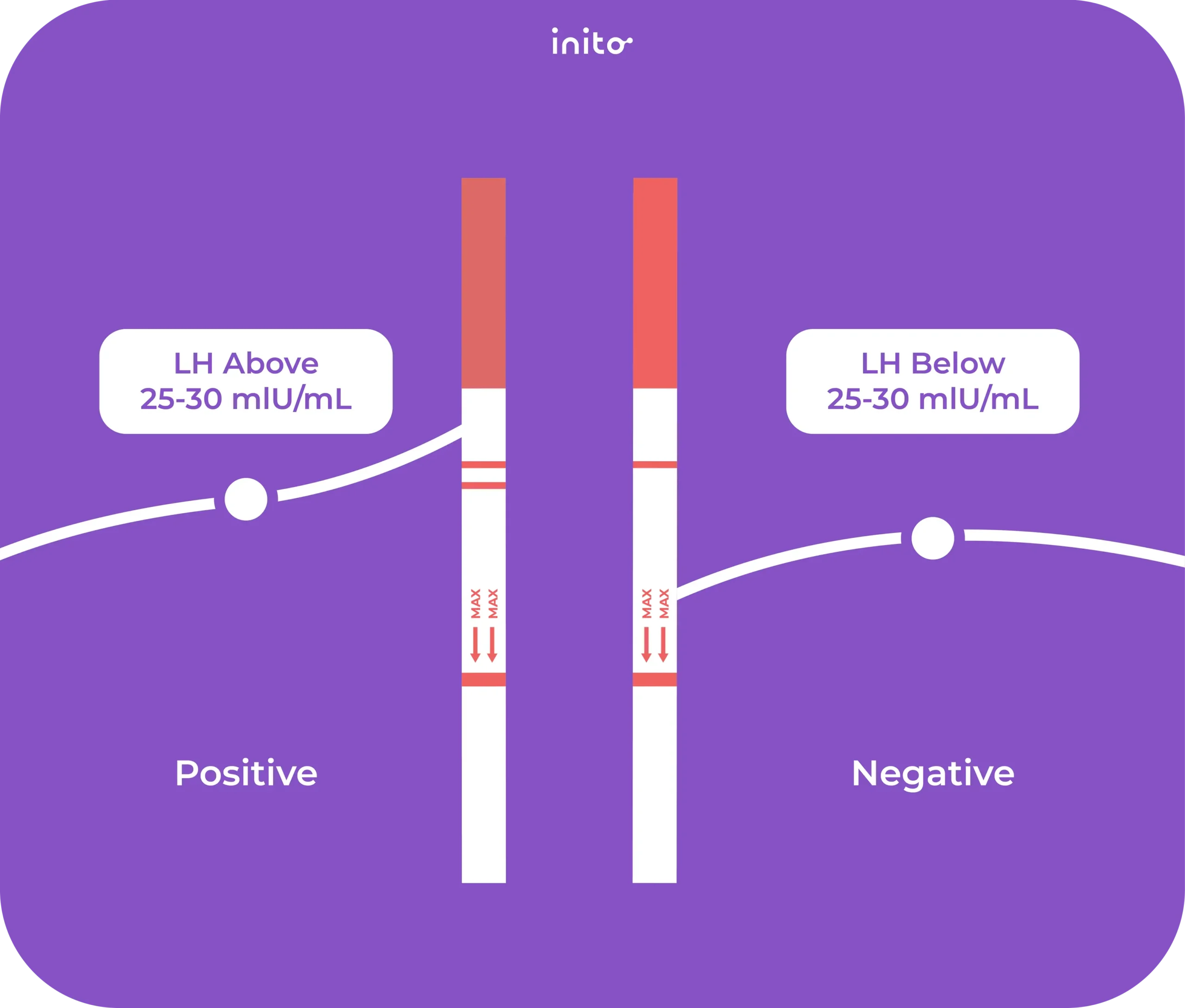 Positive and negative ovulation test results