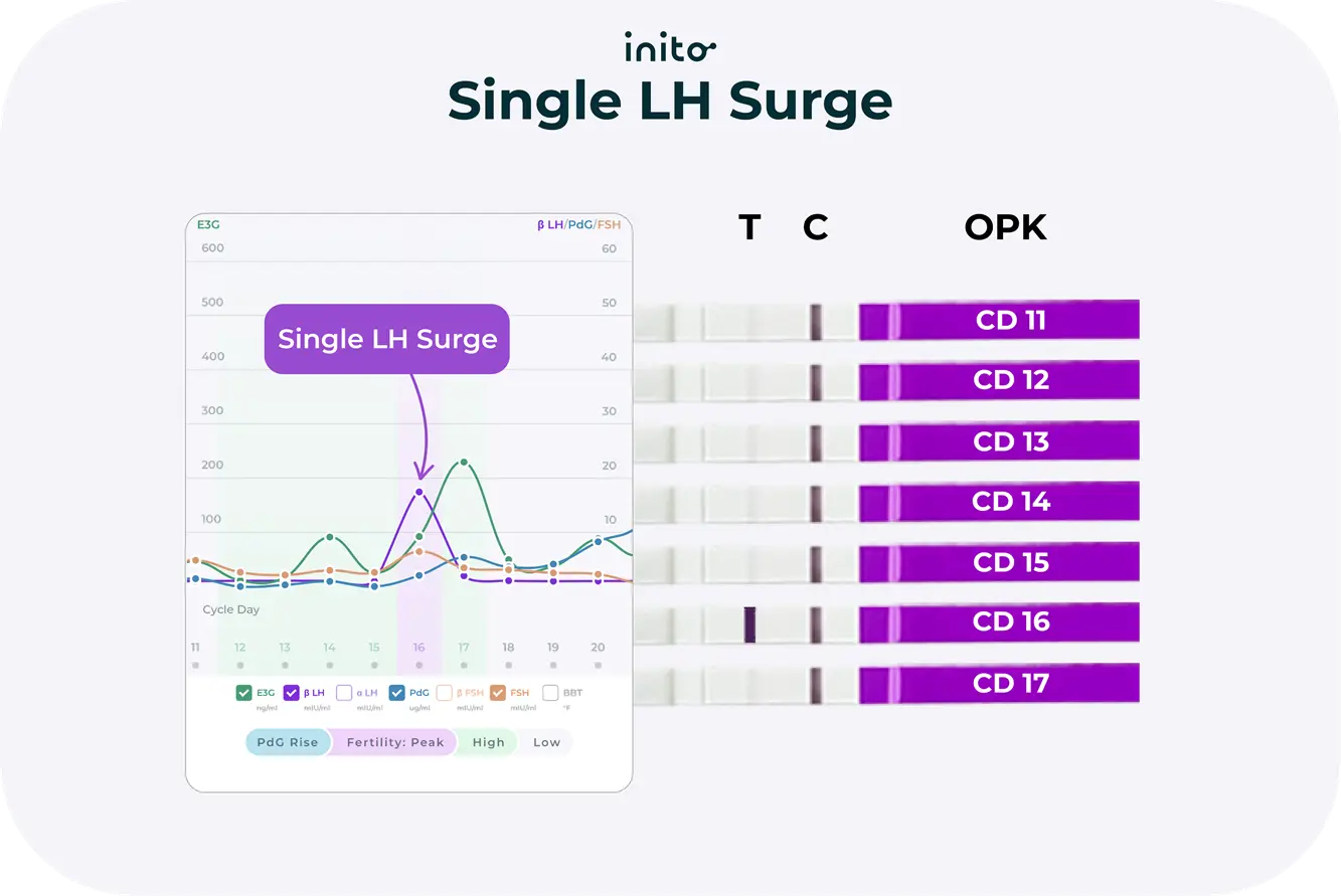 Single LH Surge