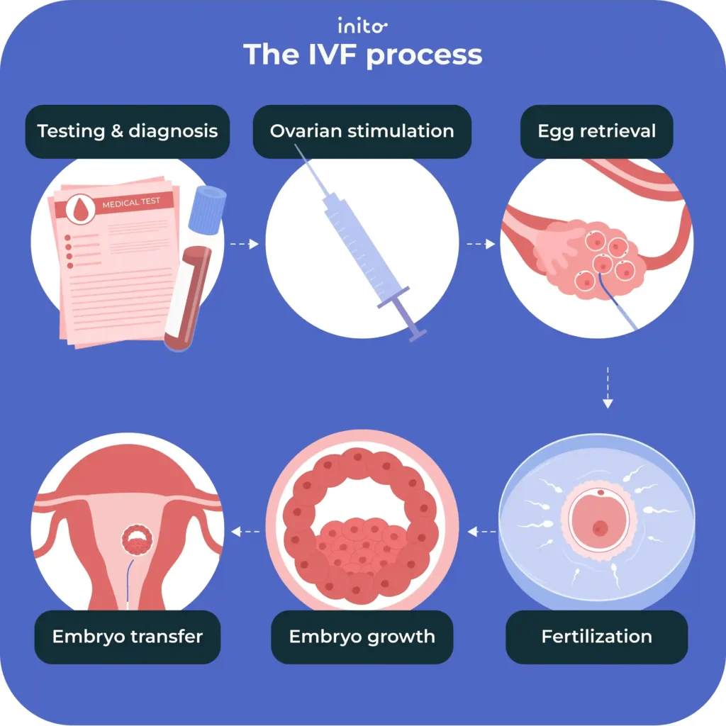 The IVF process