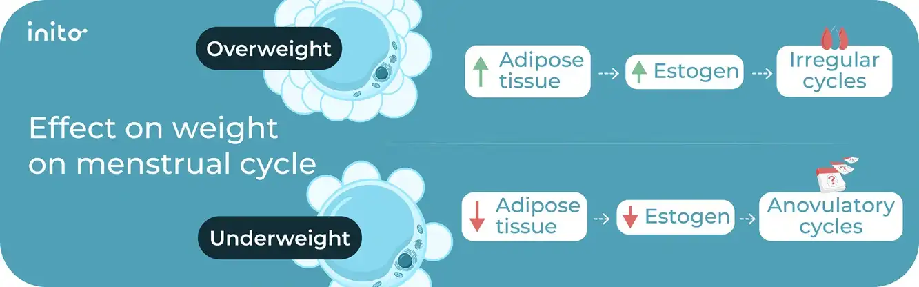 Effect on weight on menstrual cycle