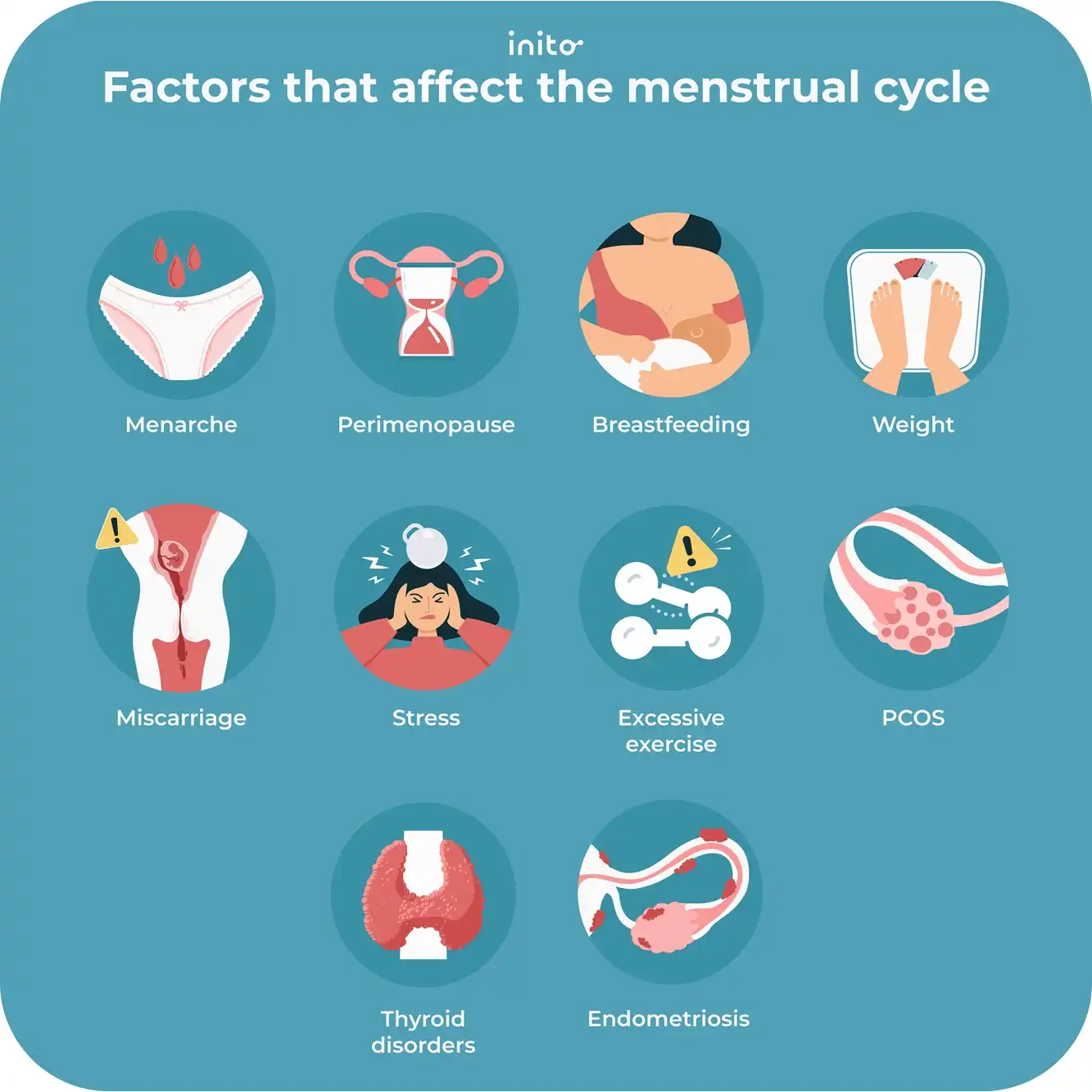 Factors that affect the menstrual cycle