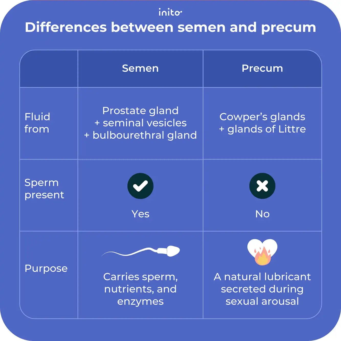 Difference between semen and precum