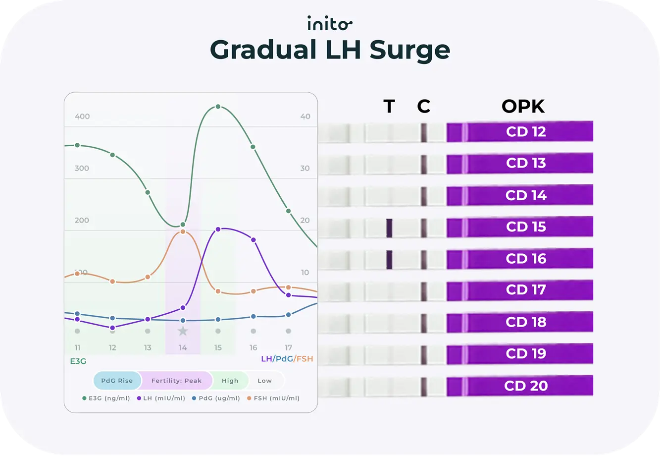 Gradual LH Surge