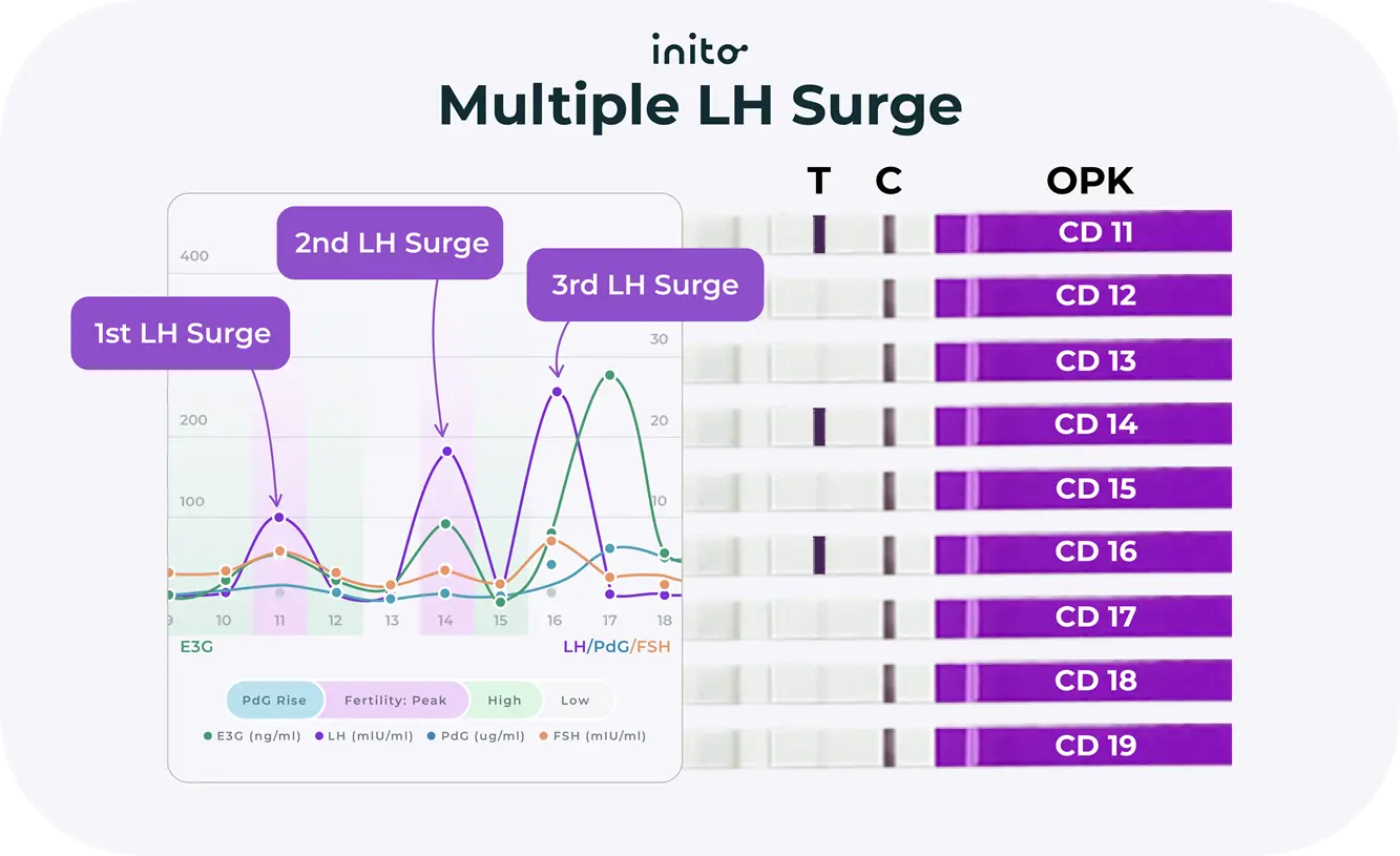 Multiple LH Surge