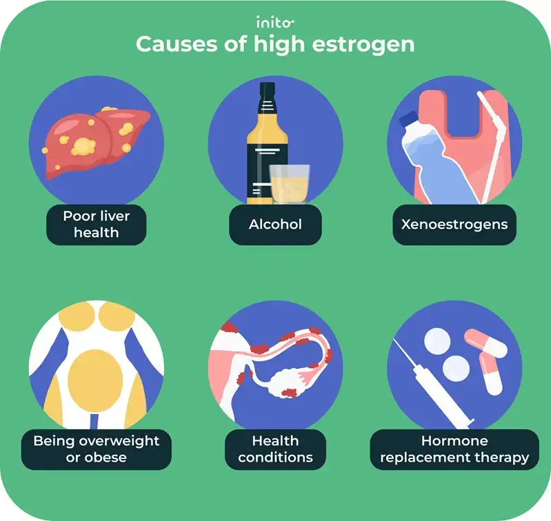 Causes of high estrogen