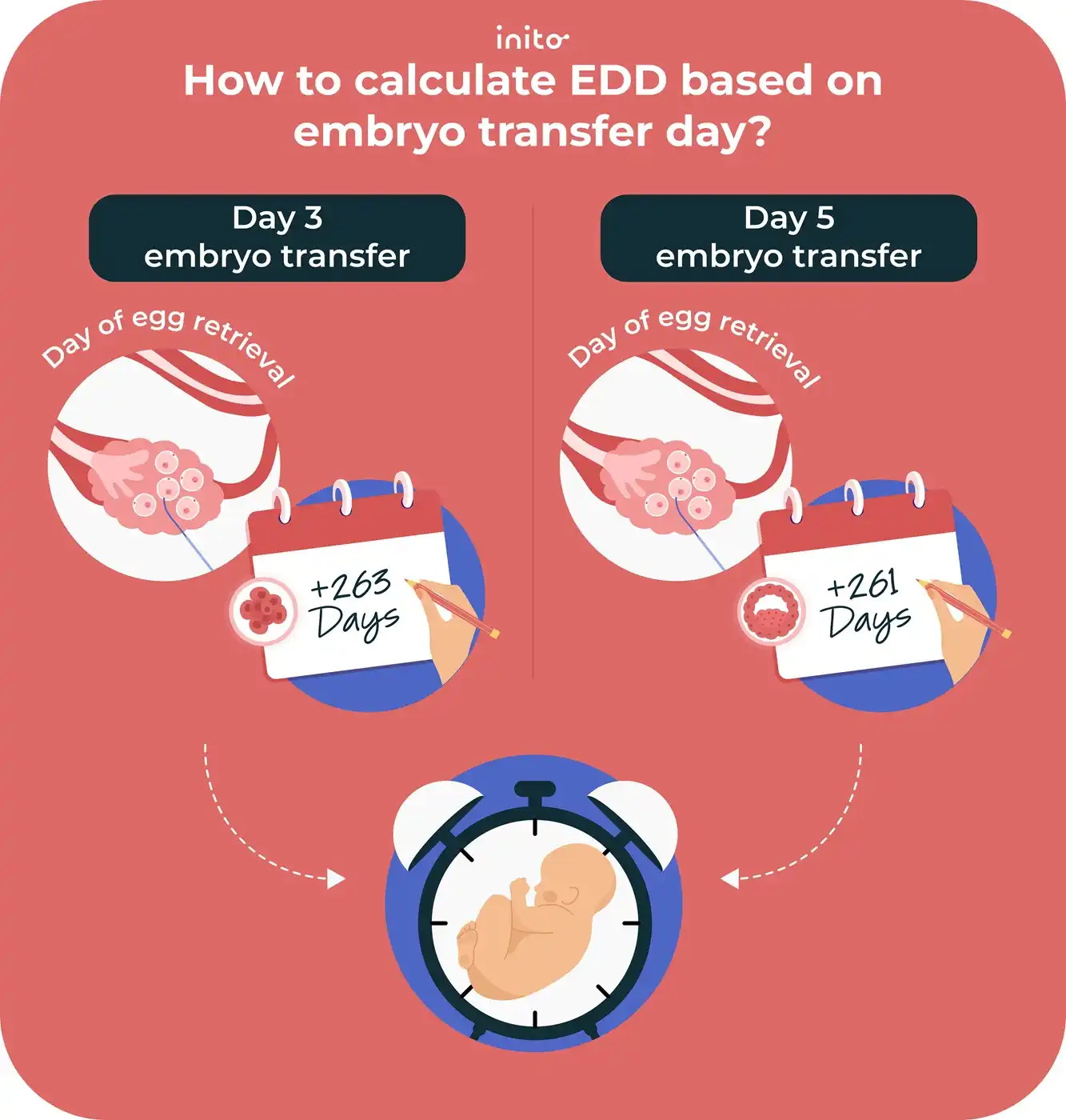 Day 3 vs. Day 5 Embryo Transfer Day