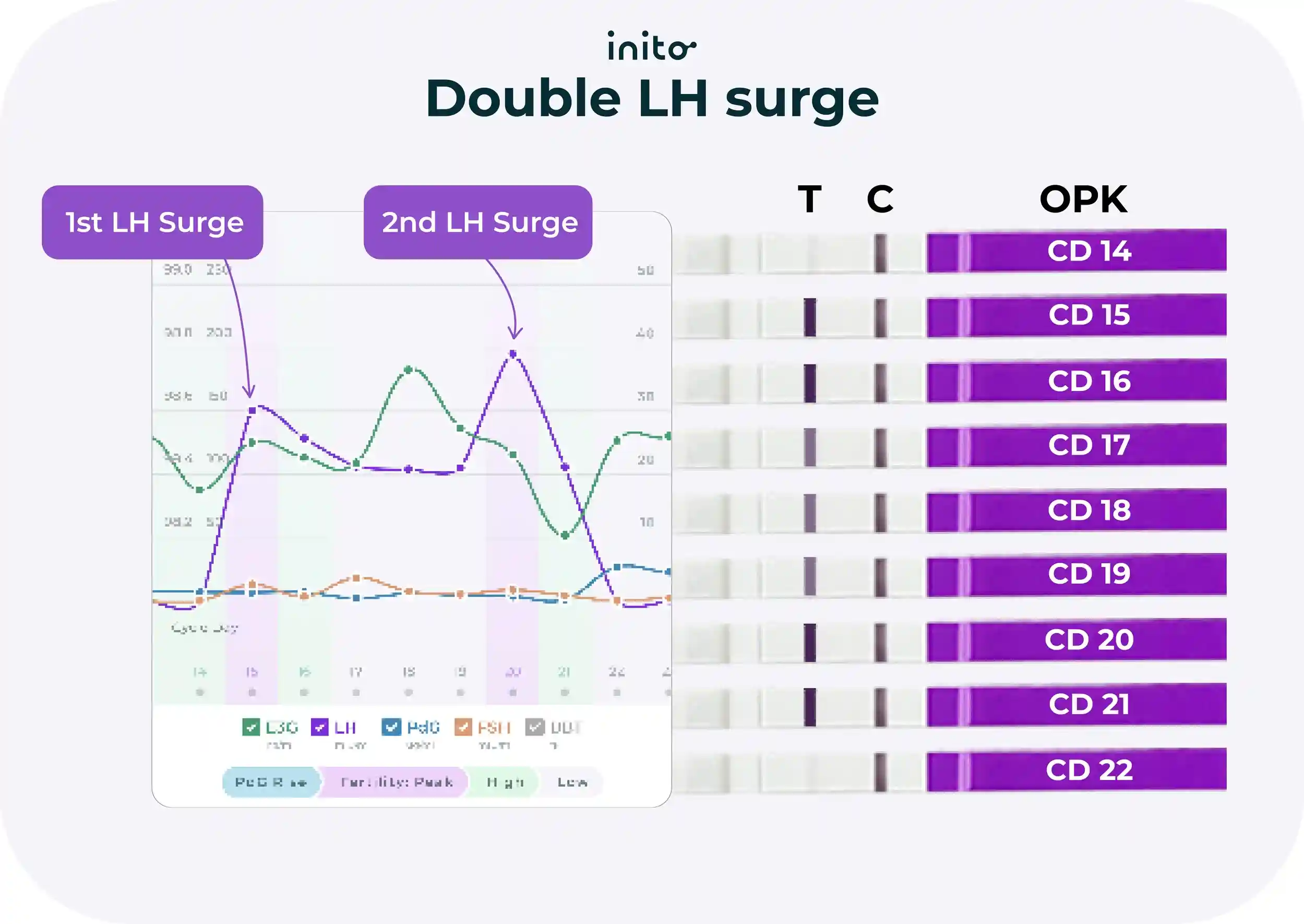 Double LH surge