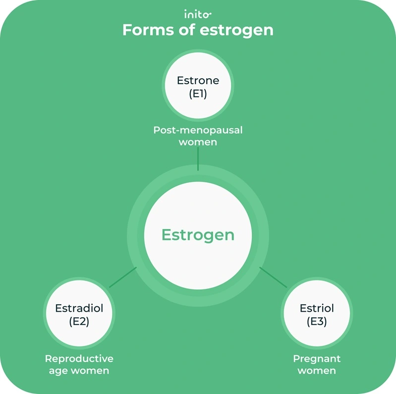 Forms of estrogen