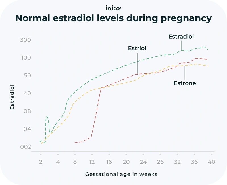 Normal estradiol levels during pregnancy