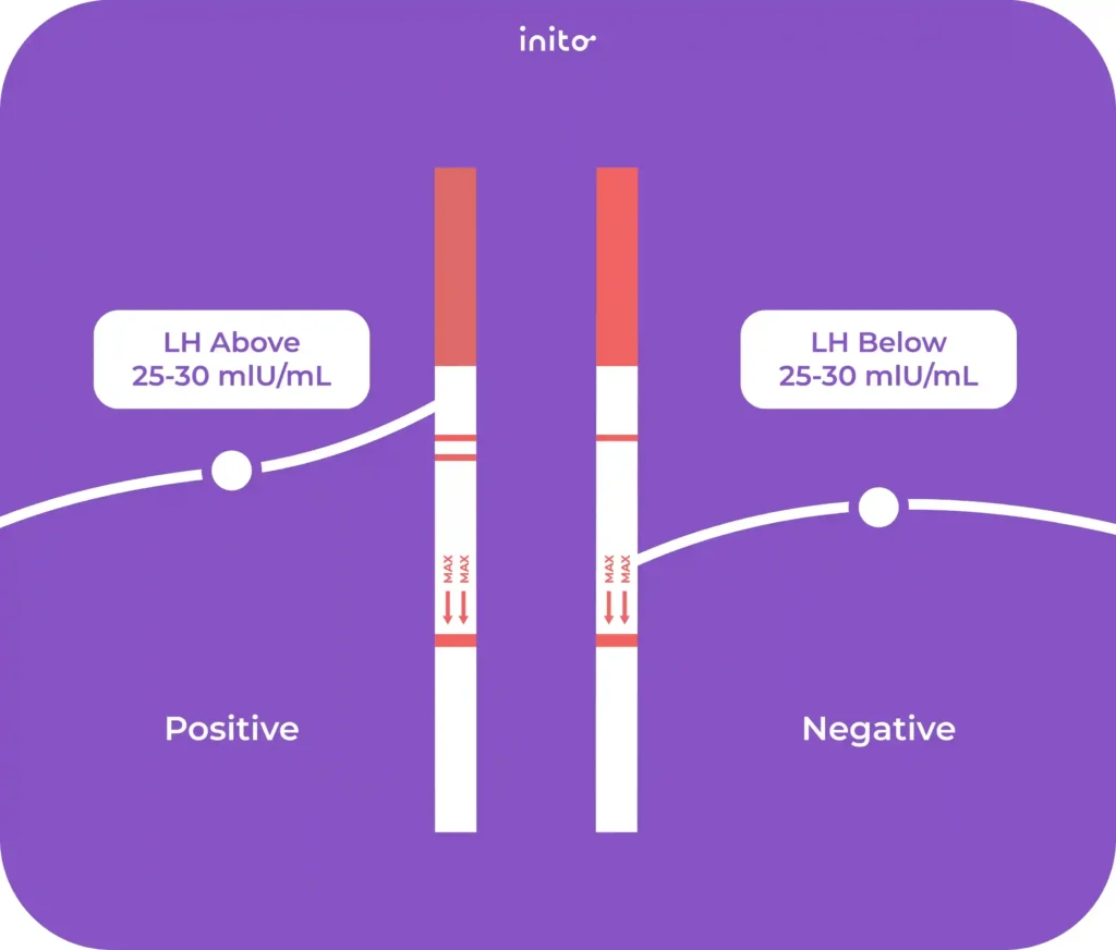 Ovulation test kit