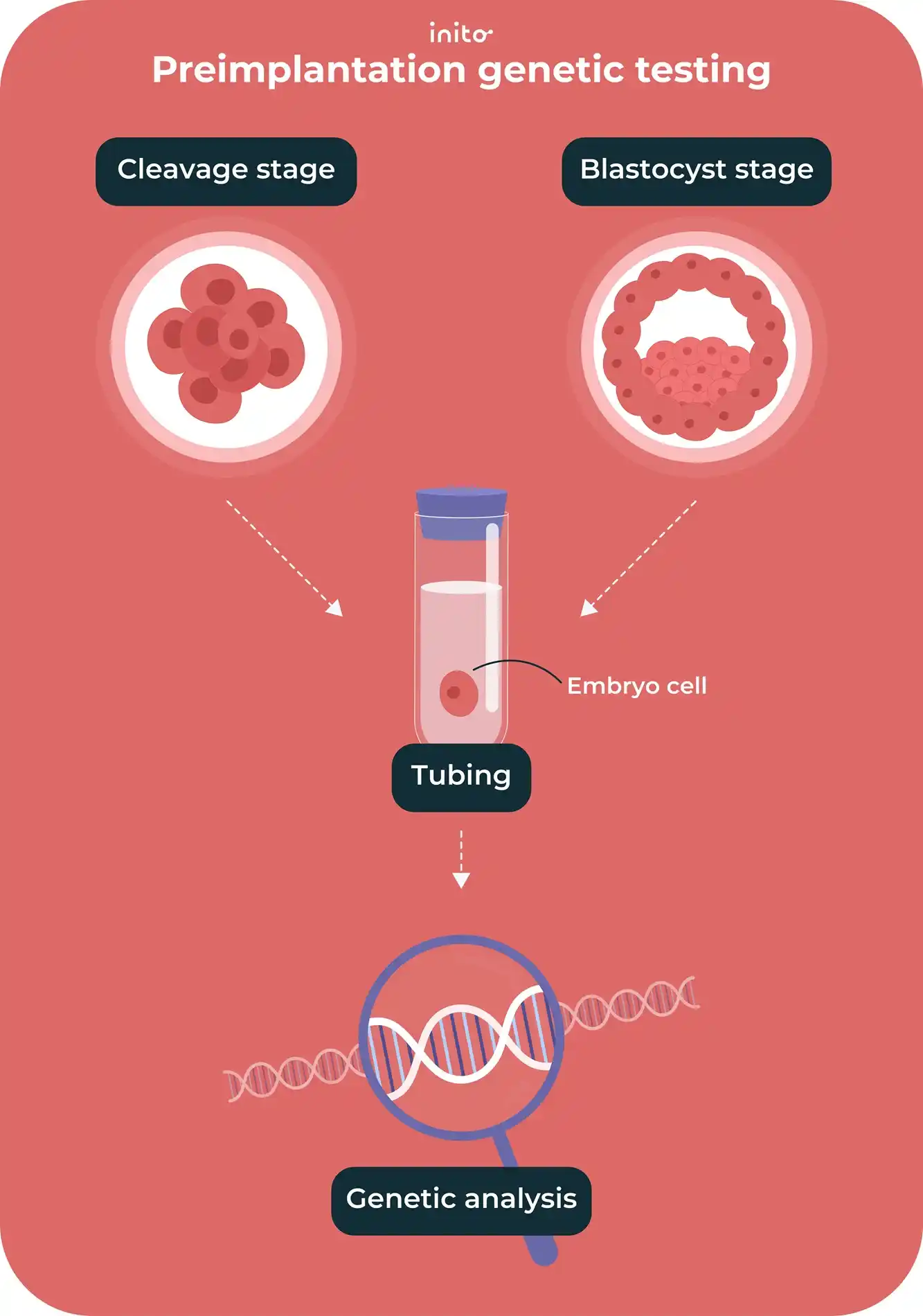 Preimplantation genetic testing