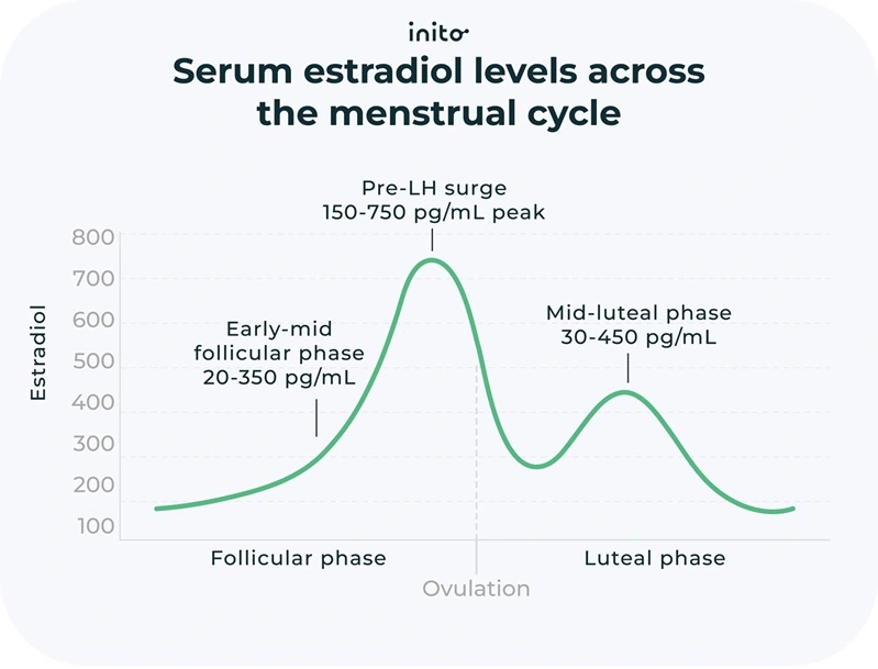 Serum estradiol levels across the menstrual cycle