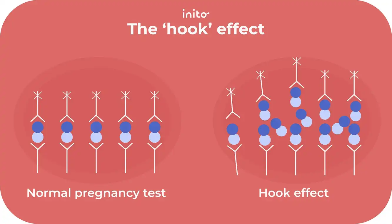 The ‘hook’ effect