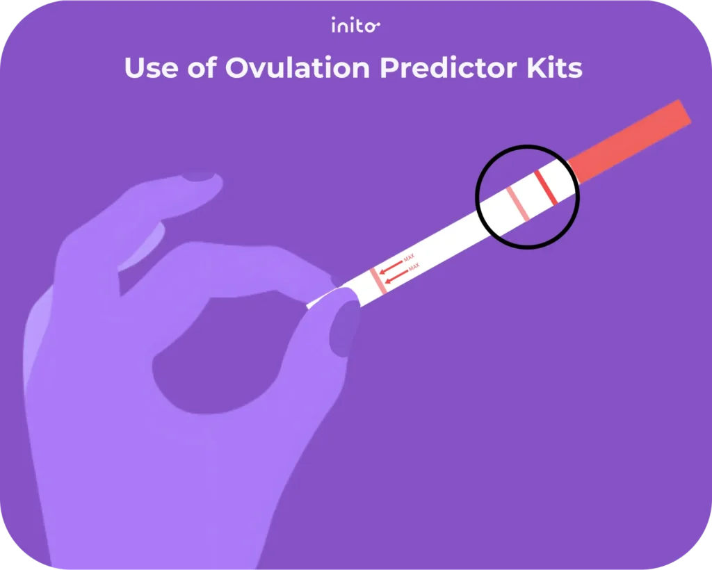 Using Ovulation Predictor Kits (OPKs)