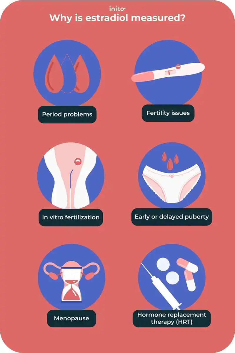 Why is estradiol measures?