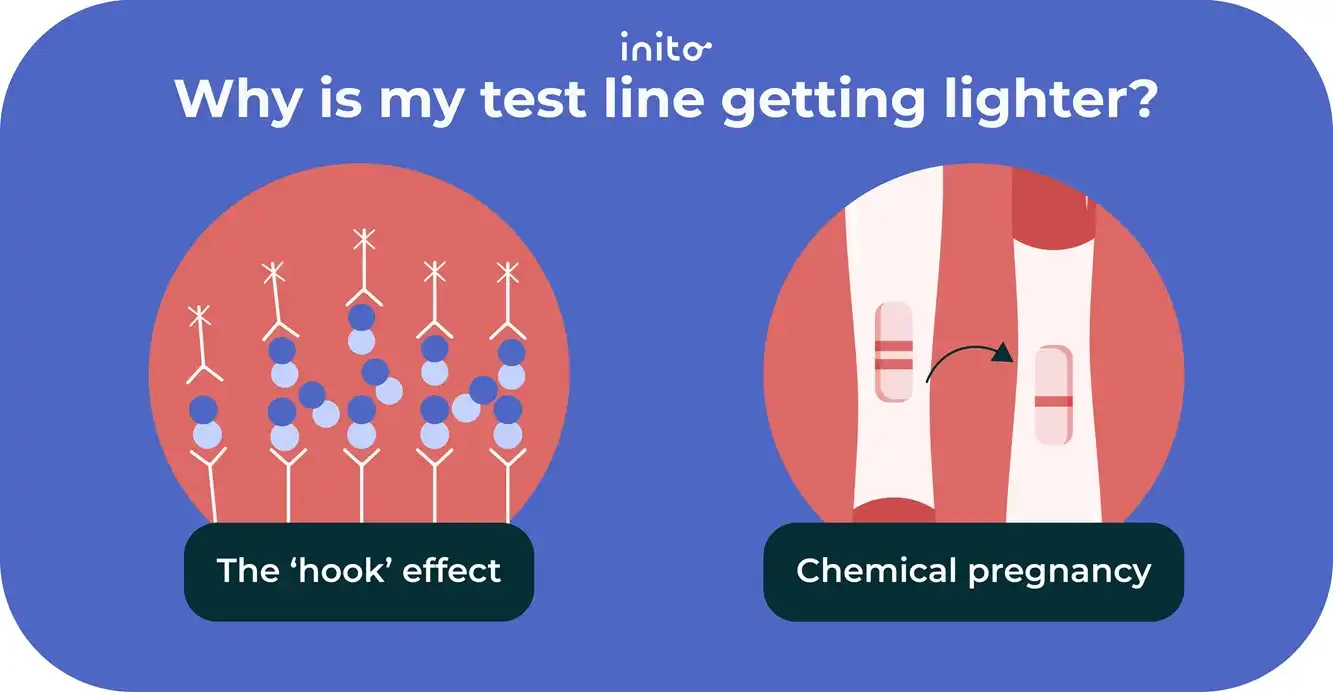 Why is my test line getting lighter?