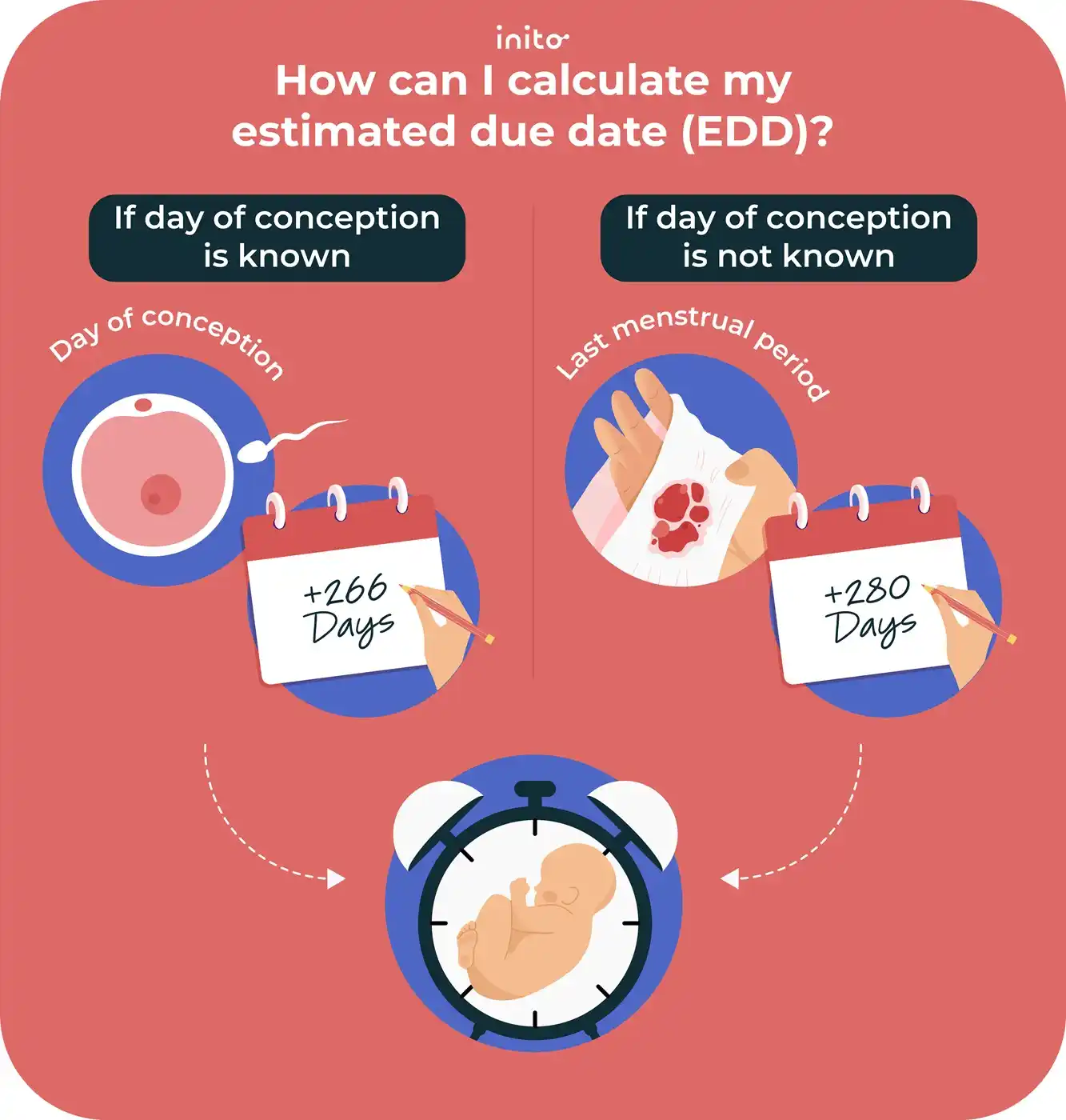 calculate my estimated due date (EDD)