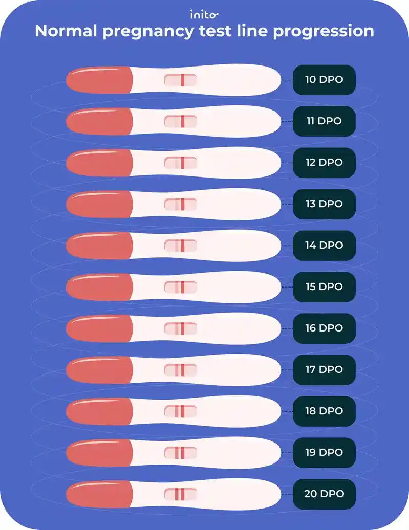 normal pregnancy test line progression