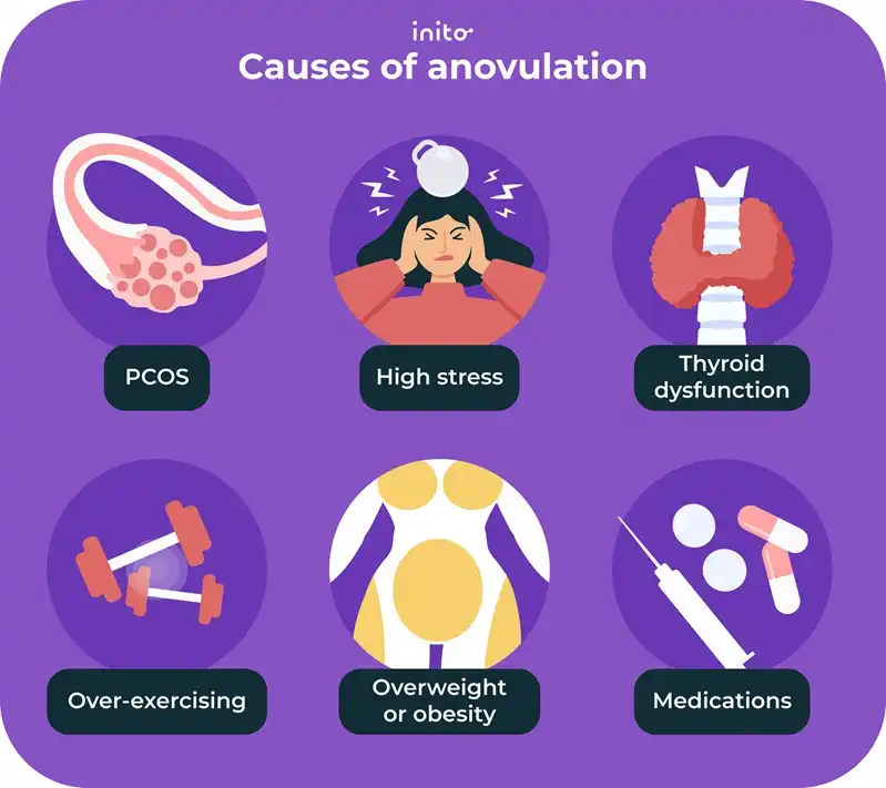 Causes of anovulation