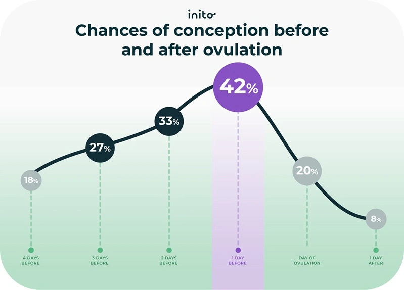 Chances of conception before and after ovulation