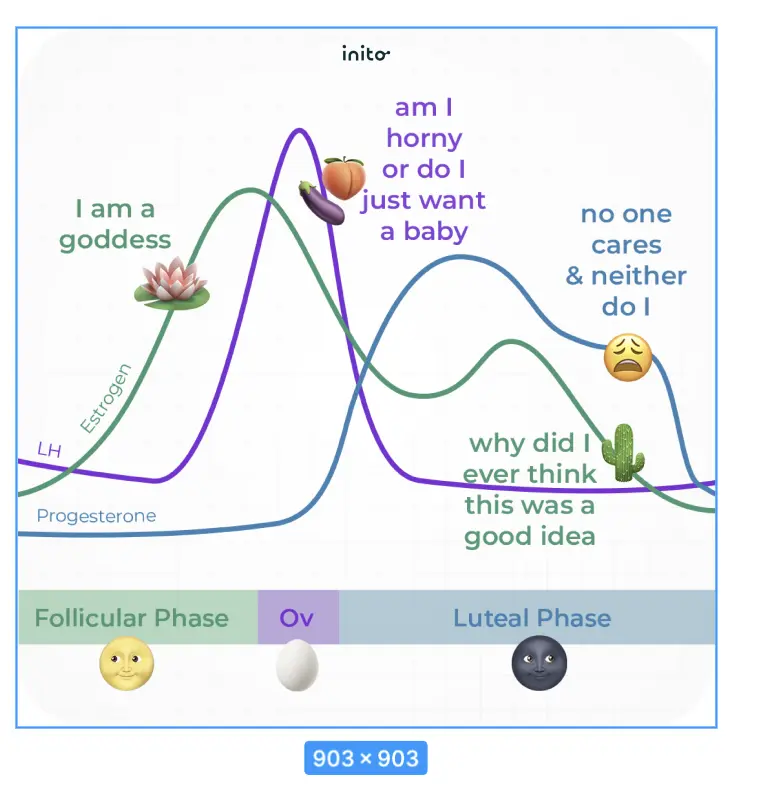 How the menstrual cycle controls health