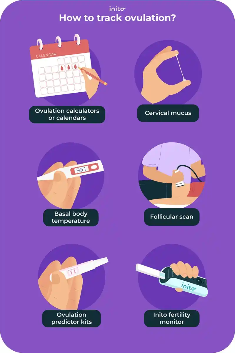 How to track ovulation?